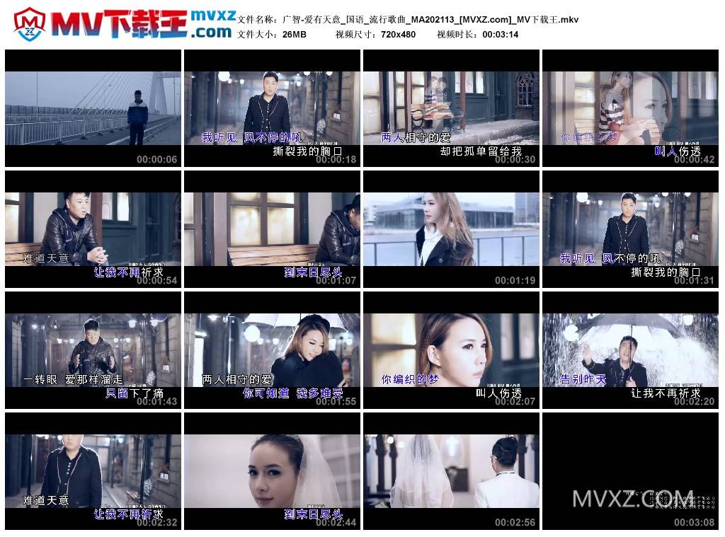 广智-爱有天意_国语_流行歌曲_MA202113